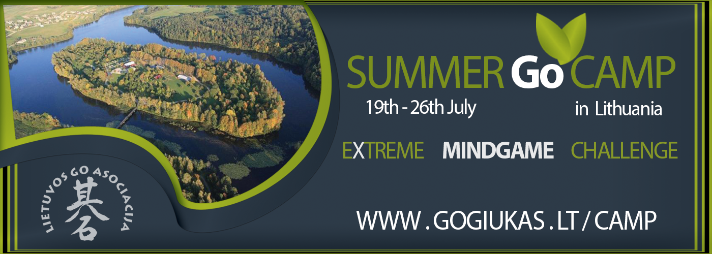 SummerGoCamp2013